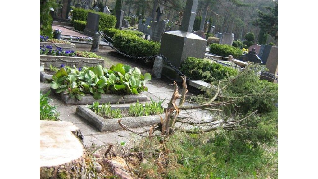 Giltinei sparčiai šienaujant palangiškius, jau po pusantrų metų prireiks naujų kapinių