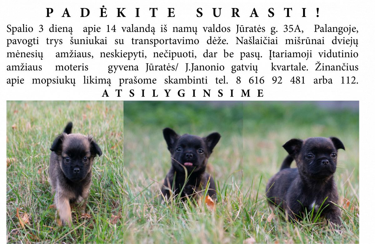 Padėkime surasti!