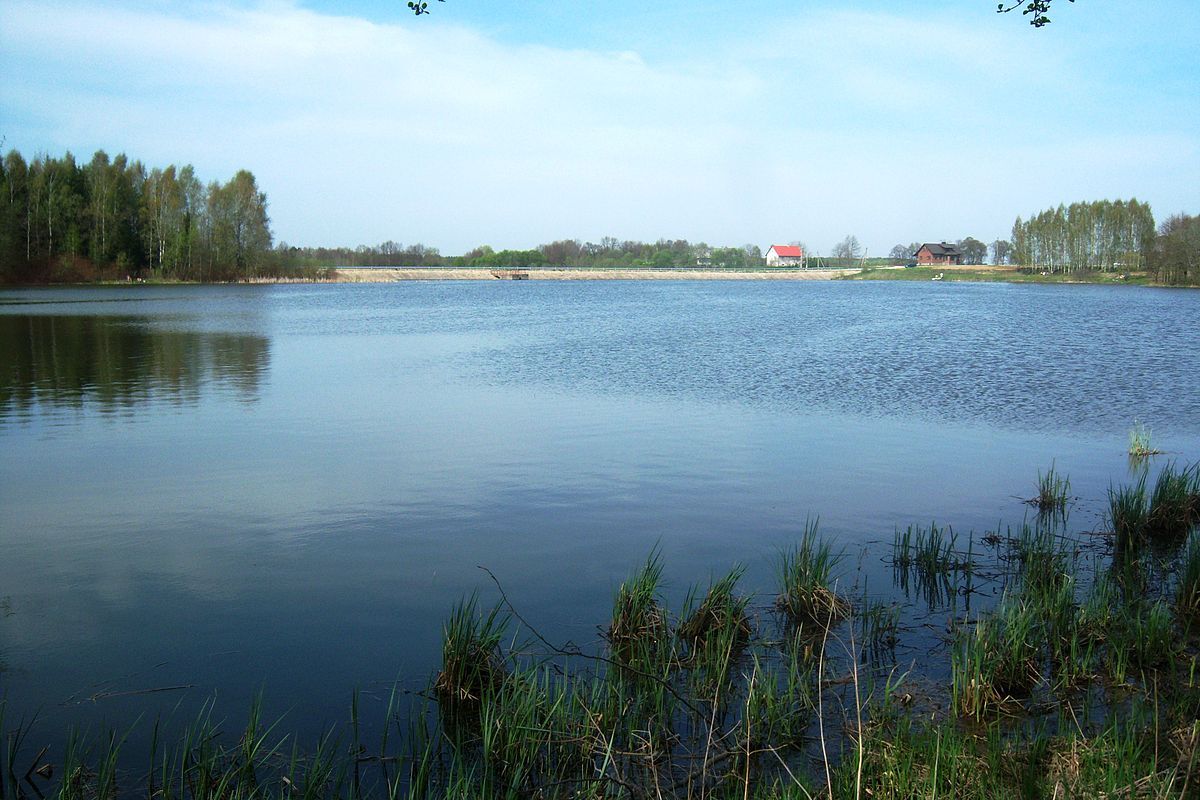 Neatsargumo kaina – gyvybė