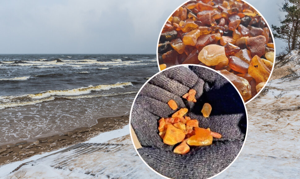 Gintaras Baltijos jūroje / Shutterstock ir socialinių tinklų nuotr. / 15min koliažas