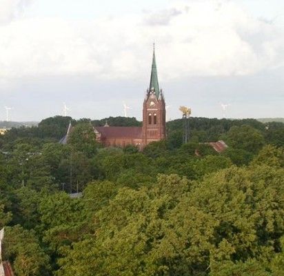 Apsileidę valdininkai miestui pakišo kiaulę
