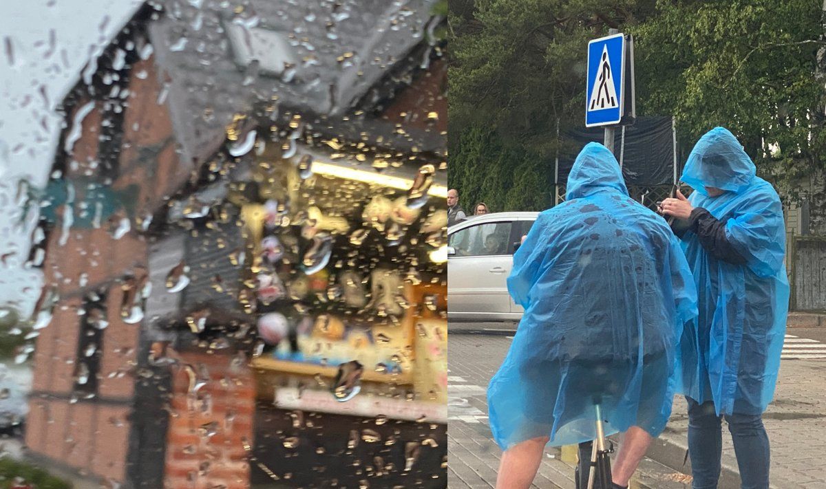 Modestos Meškės nuotr.