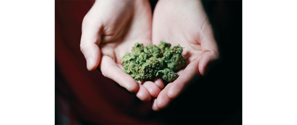 Marihuana / Pexels