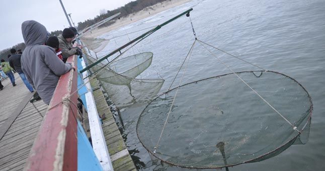 Ant Palangos tilto žvejojusiam žvejui skirta 45 eurų bauda: neturėjo žvejybai kortelės