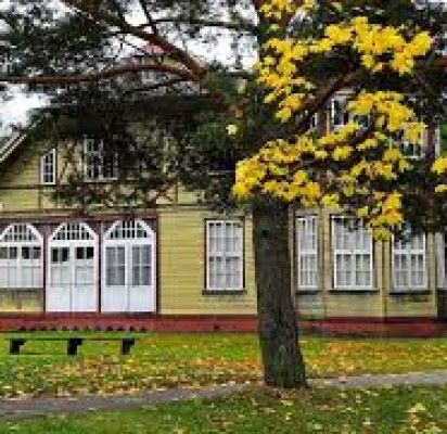 Praėjusio amžiaus pirmoje pusėje pastatytiems „medinukams“ pavojus – verslininkai