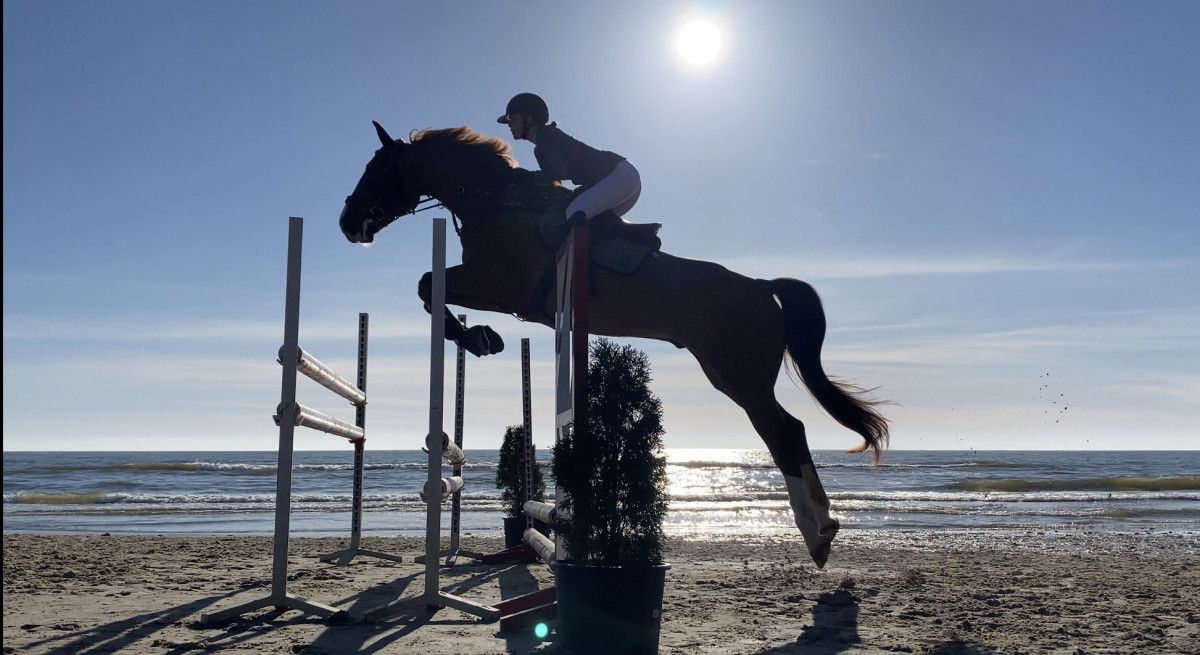 Išskirtinis renginys Palangos gyvūnų paplūdimyje - Palanga Beach Horse Show 2022
