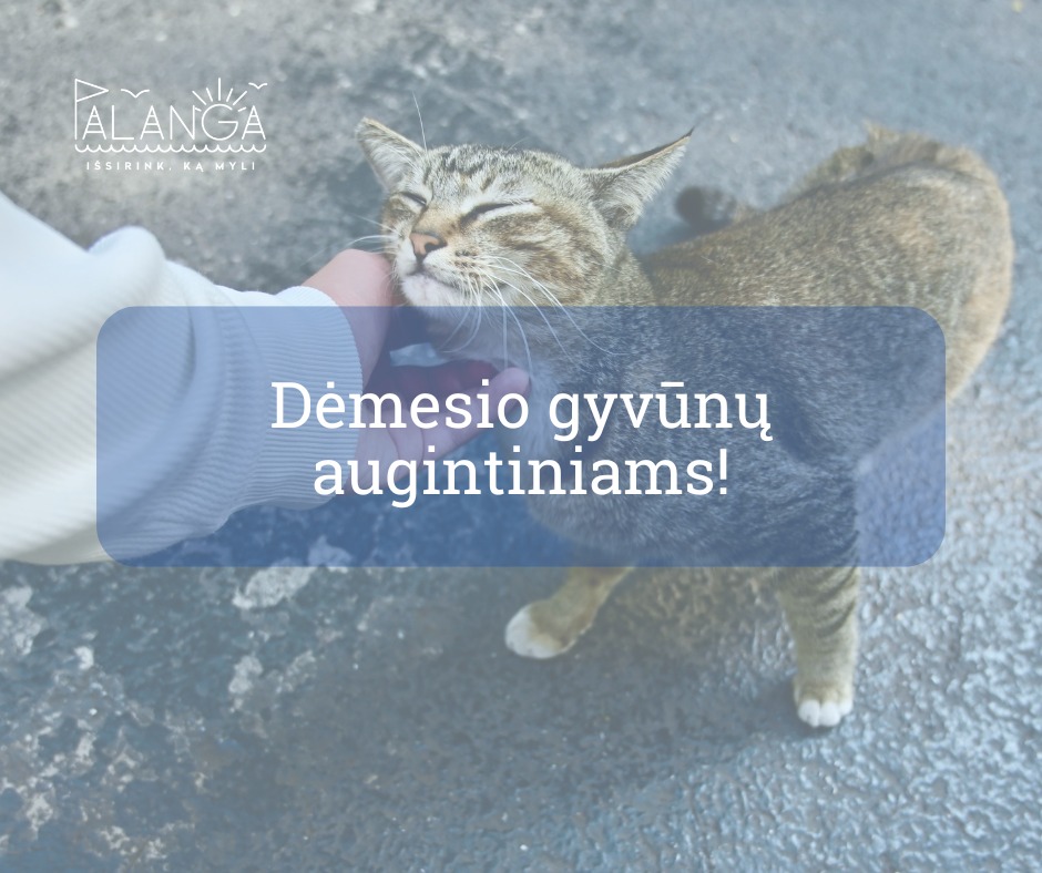 Informacija gyvūnų (šunų, kačių ir šeškų) šeimininkams