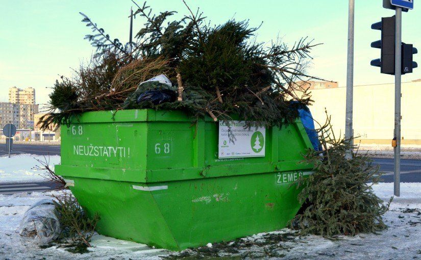 Kalėdinėms eglutėms surinkti – specialūs konteineriai