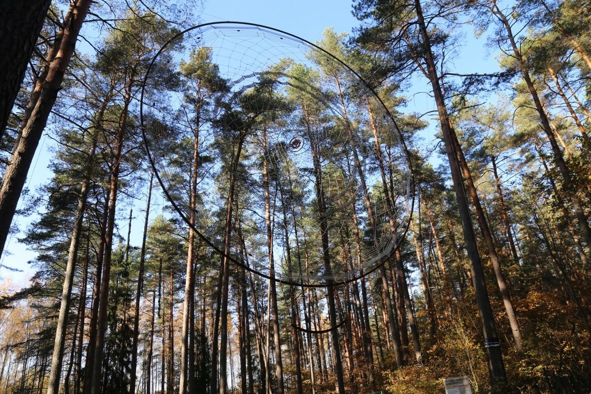 „Auksinė giria“ didžiuojasi didžiausia pasaulyje sapnų gaudykle.