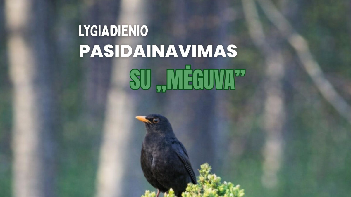 Lygiadienio pasidainavimas su „Mėguva“