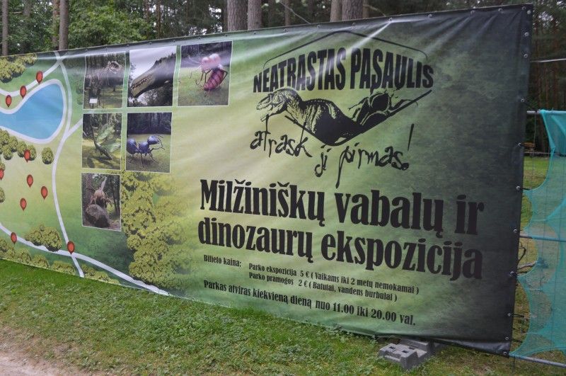 Už milžiniškus vabalus – pyla direktoriui, verslininkas svarsto palikti Lietuvą