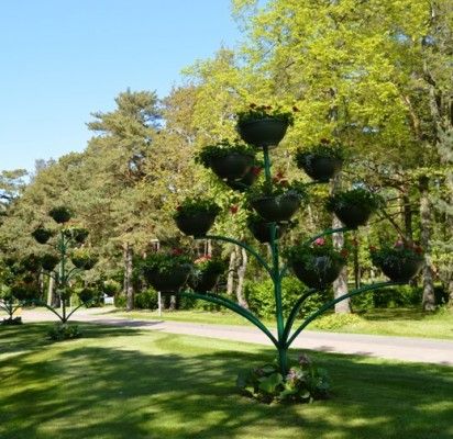 Svečių laukianti Palanga dabinasi tūkstančiais žiedų