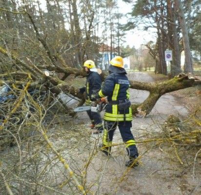 Į gamtos maišto sūkurį pakliuvo ir Palanga