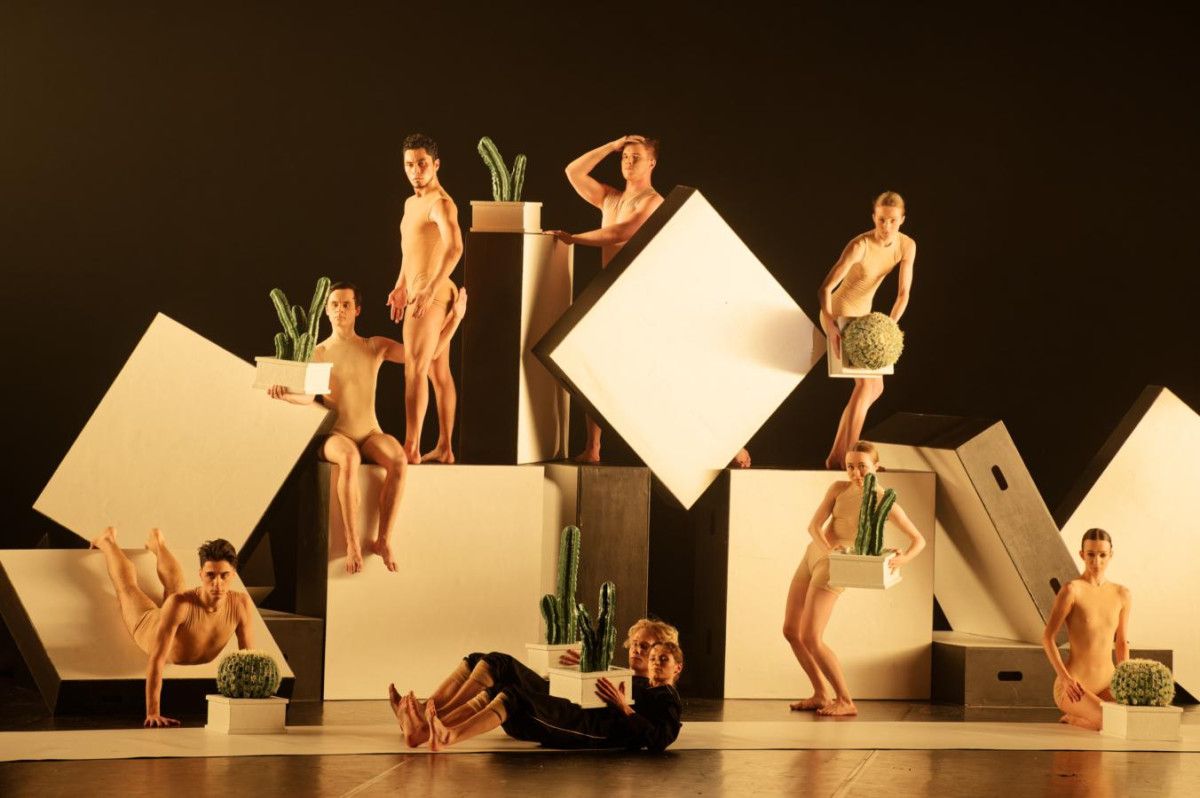 Alexanderio Ekmano (Švedija) „Cacti“ (Kaktusai). Martyno Aleksos nuotr.