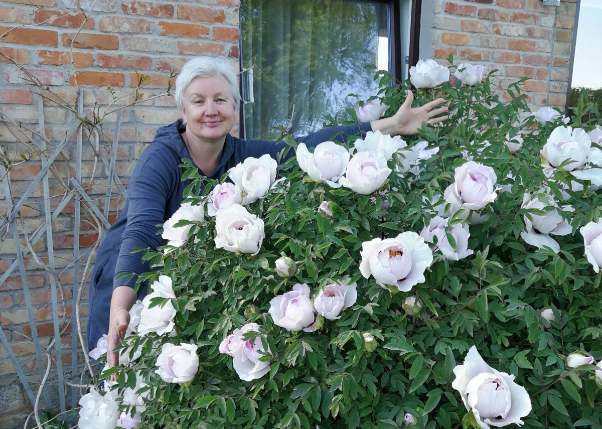 Daiva Urbštienė
