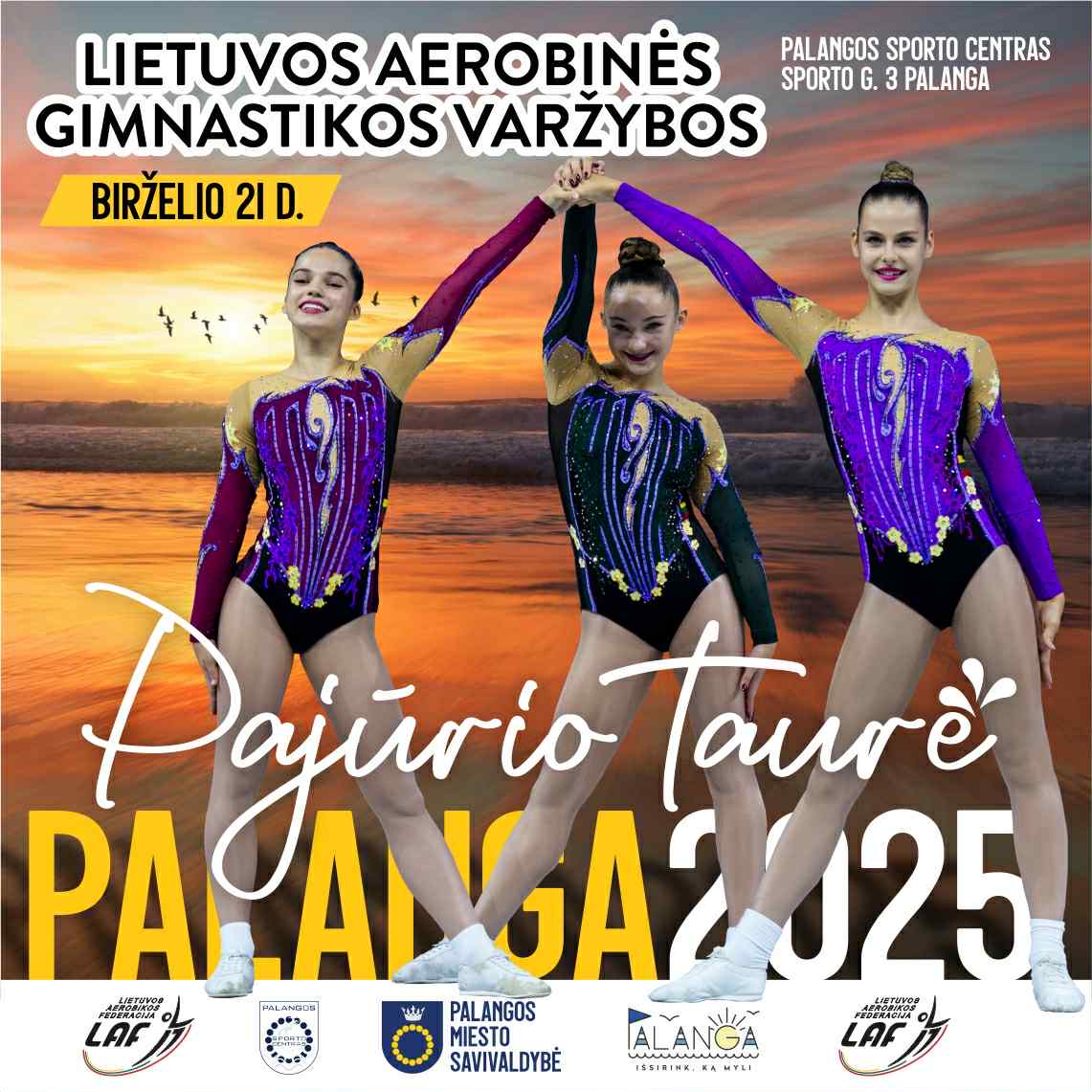 Aerobinės gimnastikos varžybos