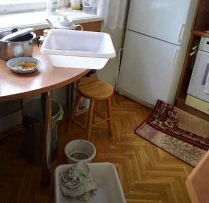Liūtis apkartino renovacijos pradžią
