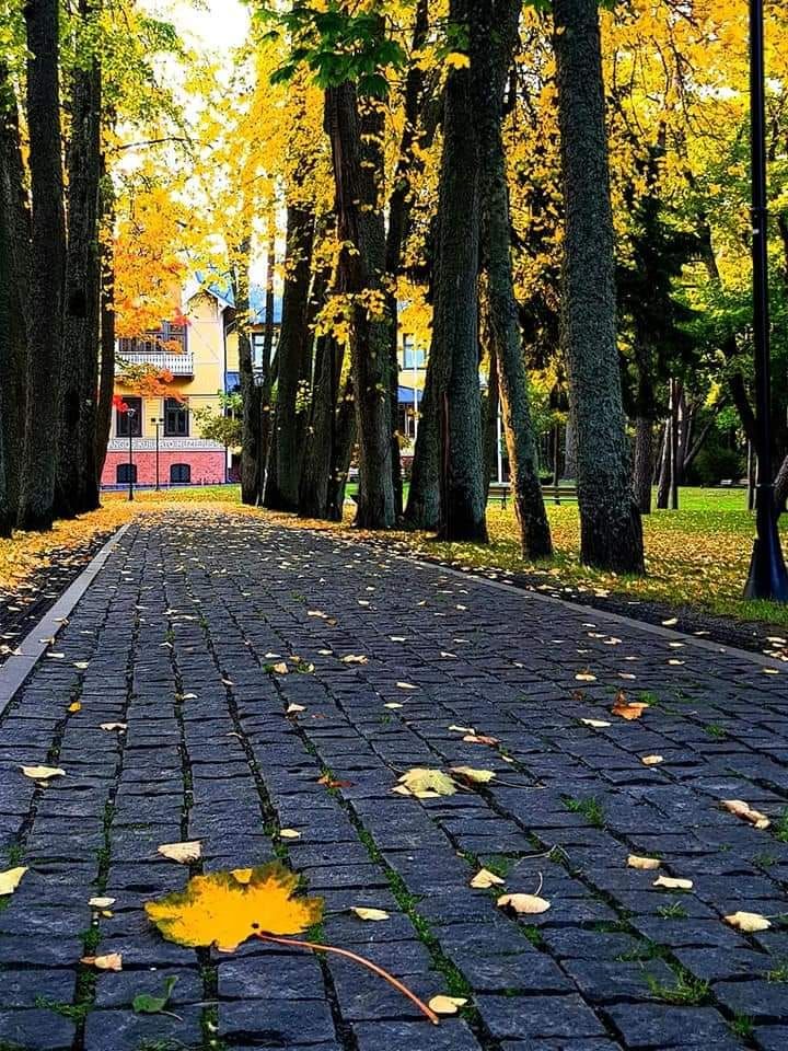 Palanga ir toliau sparčiai tvarkosi ir keičiasi