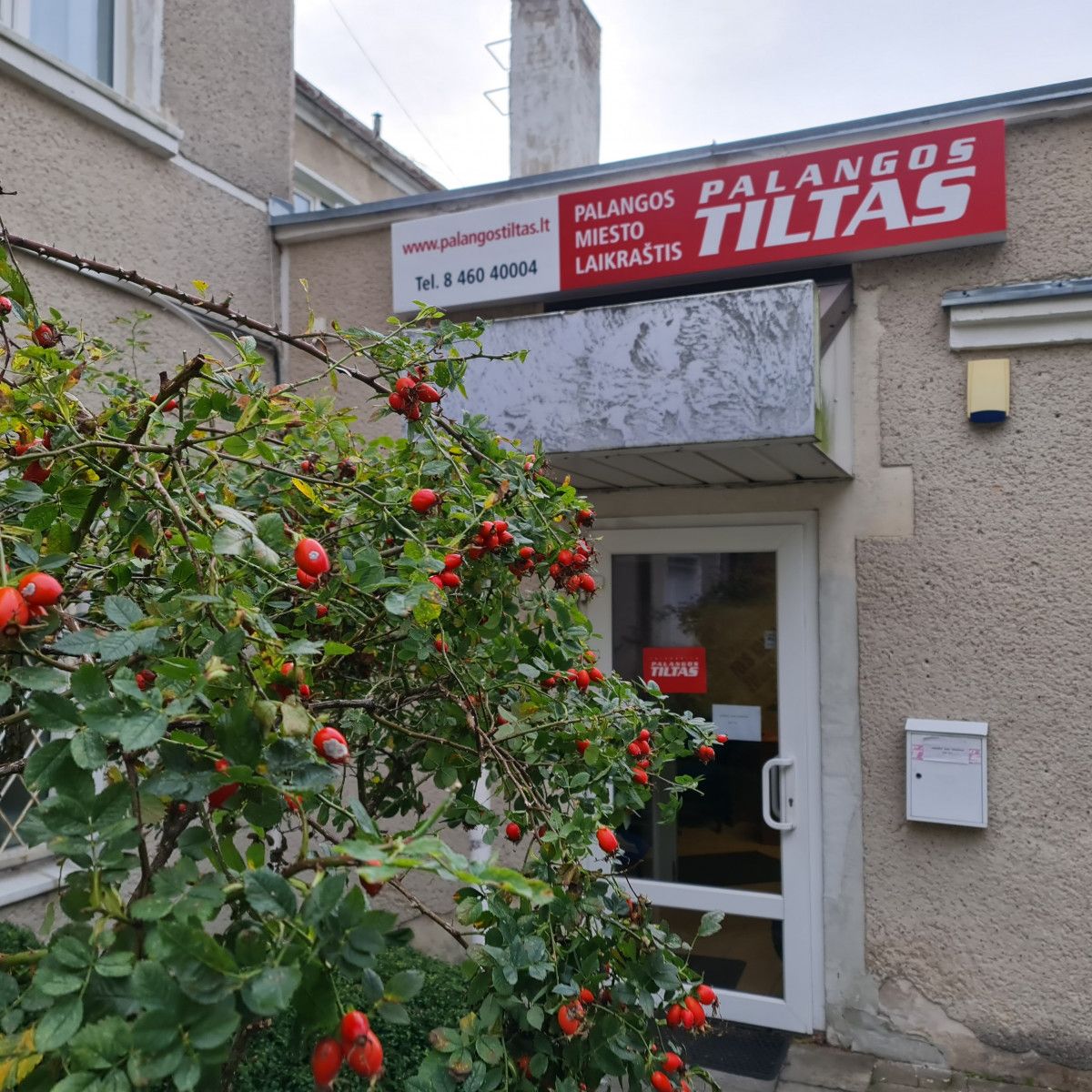 Laikraščio „Palangos tiltas“ redakcijoje išnuomojama vieta darbui
