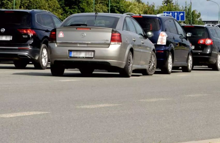 © Asociatyvi Vitos JUREVIČIENĖS nuotr.