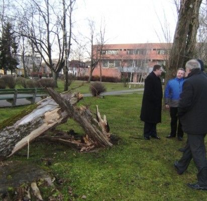 Audra griovė tvorą, sieną, traukė elektros laidus, bet paplūdimio pagailėjo