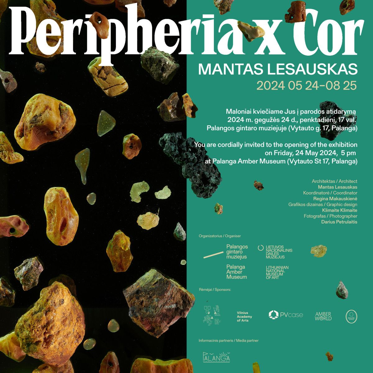 PALANGOS GINTARO MUZIEJUS PRISTATO MANTO LESAUSKO GINTARO MATERIJOS TARDYMUS