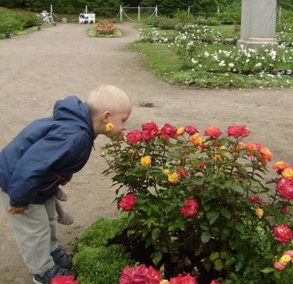 Birutės parko dieną literatūriniai susitikimai keis vienas kitą