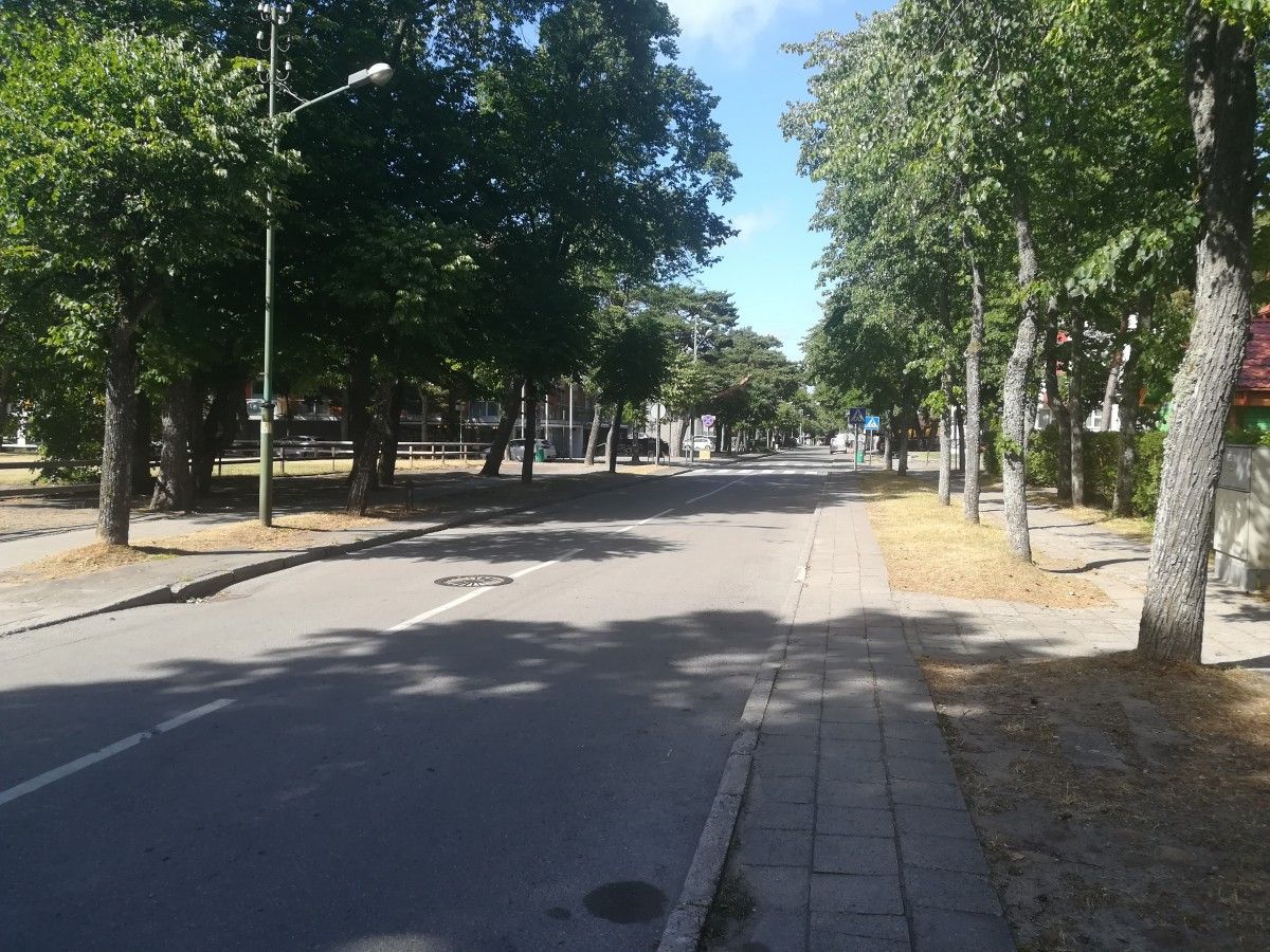 Greitį ribojantys ženklai bėdos neišsprendžia