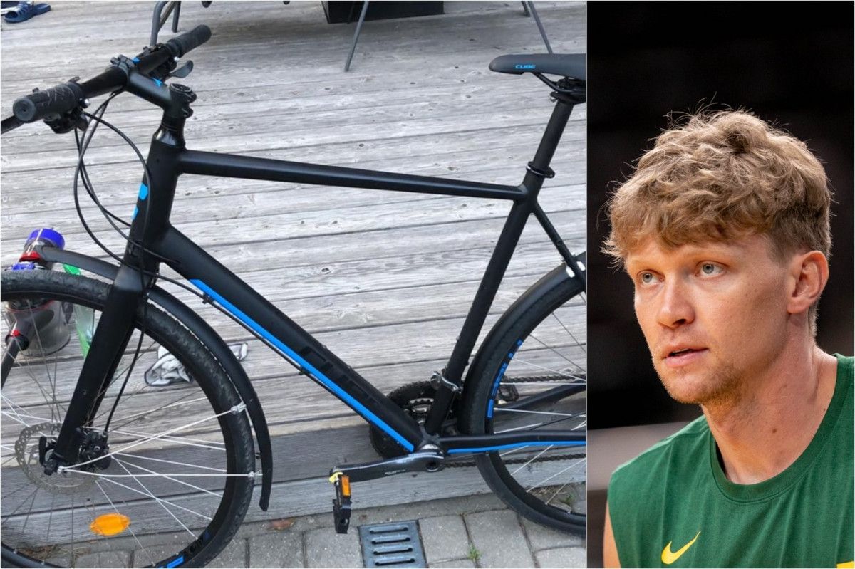 Mindaugas Kuzminskas Delfi.lt koliažas