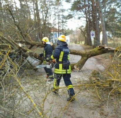 Stiprus vėjas Palangoje pridarė bėdų