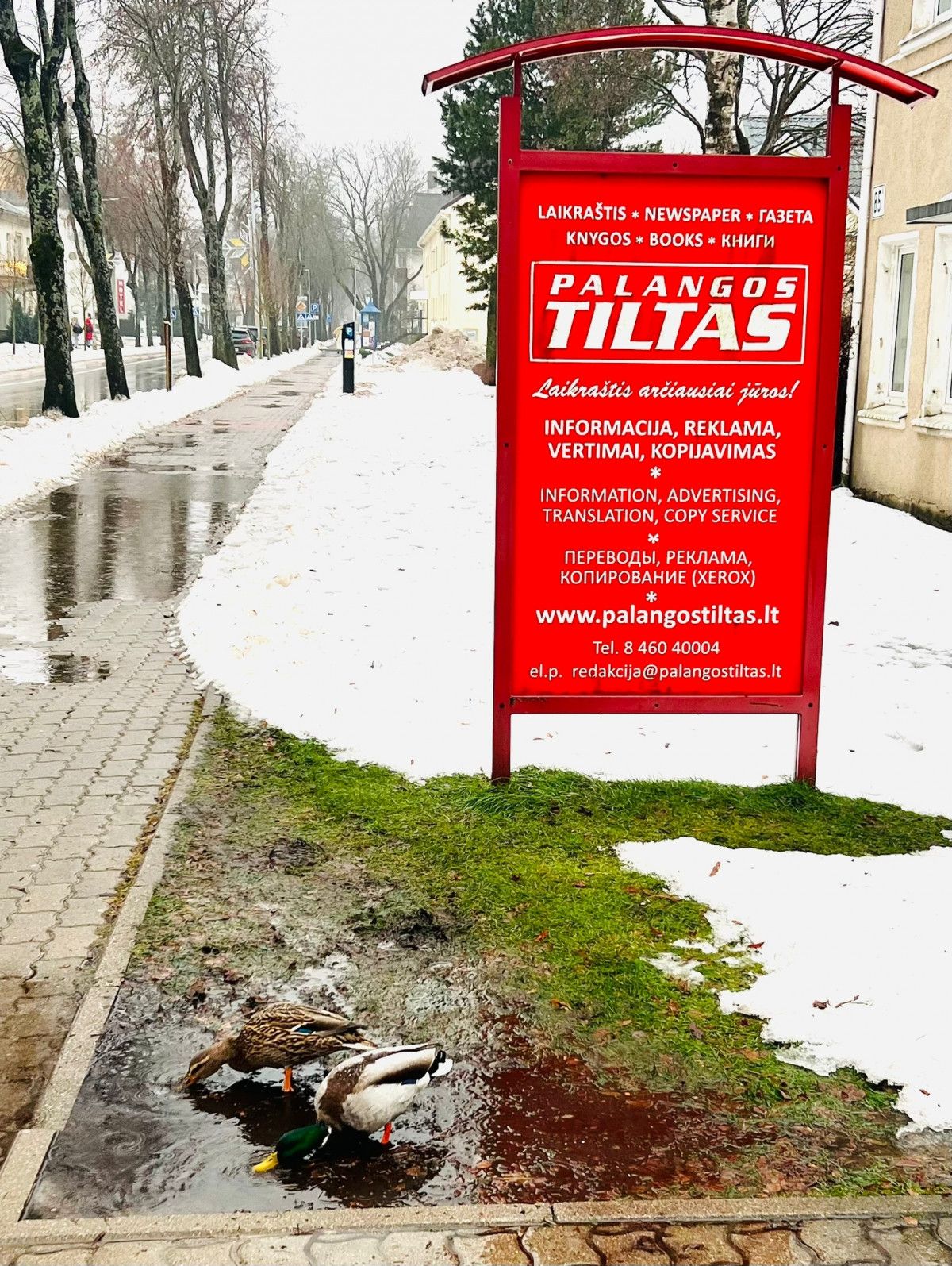 „Palangos tiltas“ prieš didžiausias metų šventes sulaukė netikėtų svečių