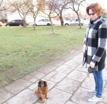 Šunų vedžiotojų sąmoningumas auga: 53 iš 60-ies turėjo maišelius kakučiams surinkti
