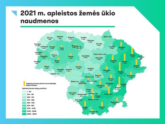 Suskaičiavo apleistą žemę – kas rekordininkai, Palanga gali pasidžiaugti – neturi tokių sklypų