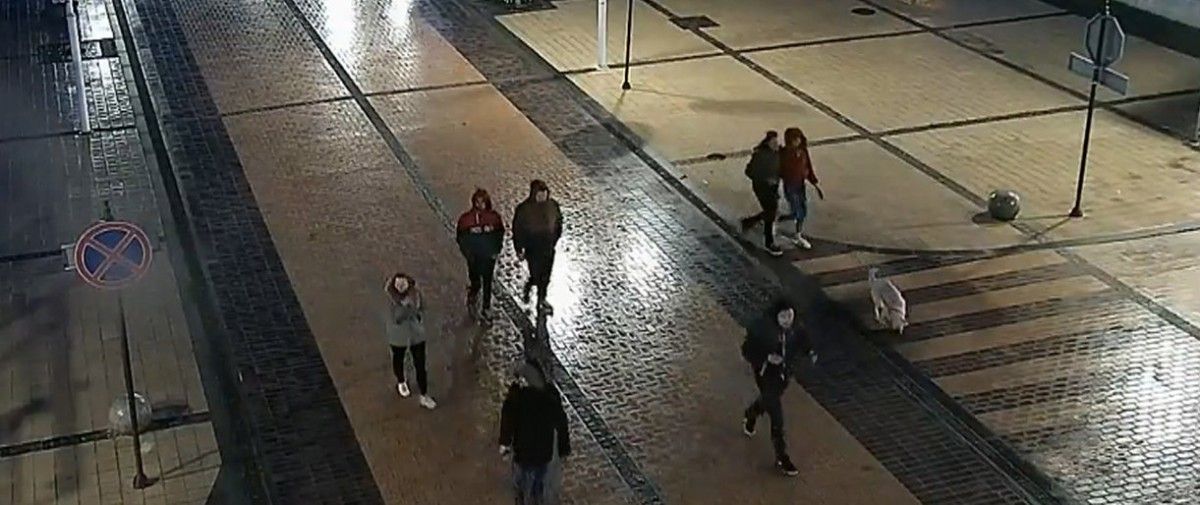 Palangos policijos pareigūnai prašo pagalbos (ŽIŪRĖKITE VIDEO SEKCIJĄ)