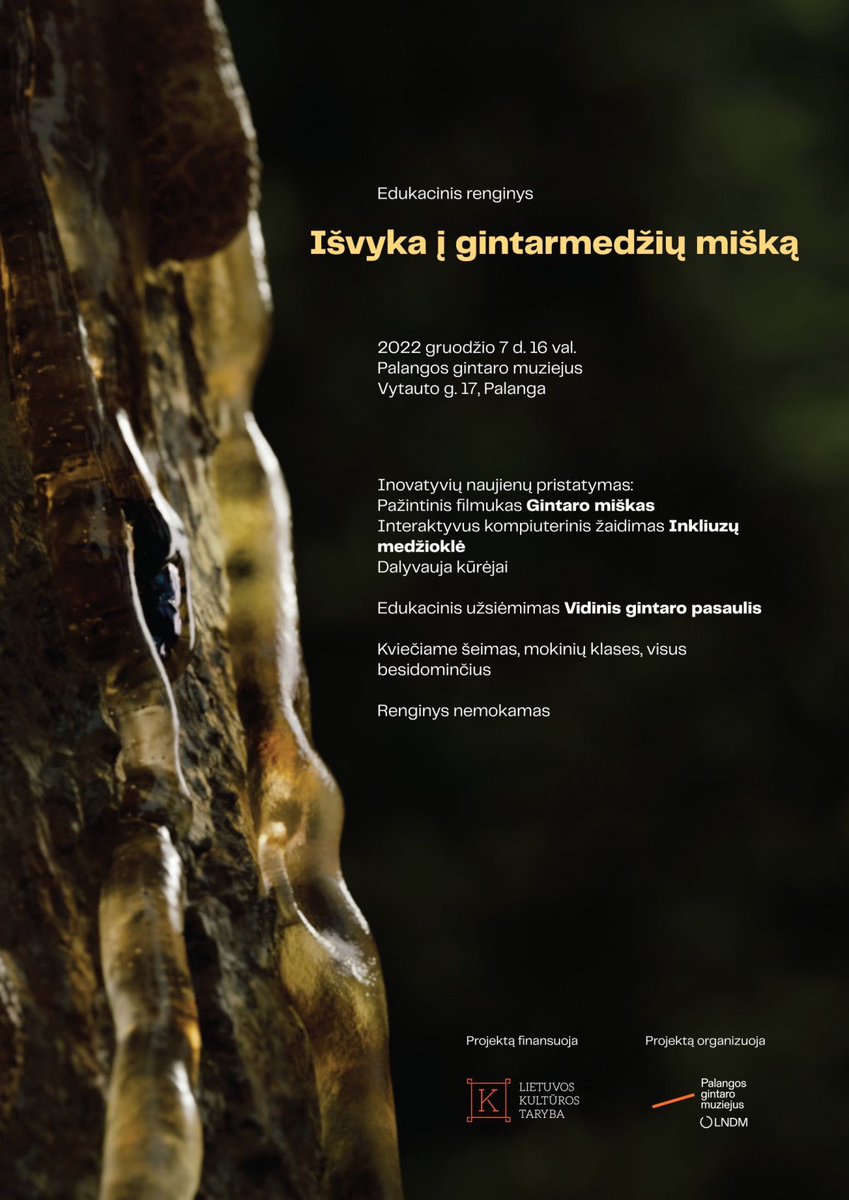 Kviečiame dalyvauti Palangos gintaro muziejaus renginyje IŠVYKA Į GINTARMEDŽIŲ MIŠKĄ  gruodžio 7 d. 16 val. muziejaus edukacinėje erdvėje