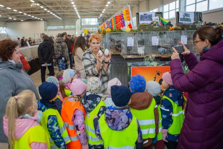 Klaipėdos aukštaskraidžių balandžių puoselėtojai vienija jėgas – nuotrauka 2