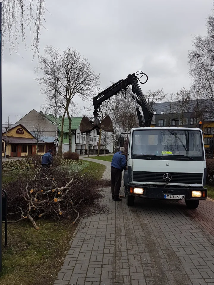 Siautusi audra talžė Palangą, didelių nuotolių išvengta – nuotrauka 2