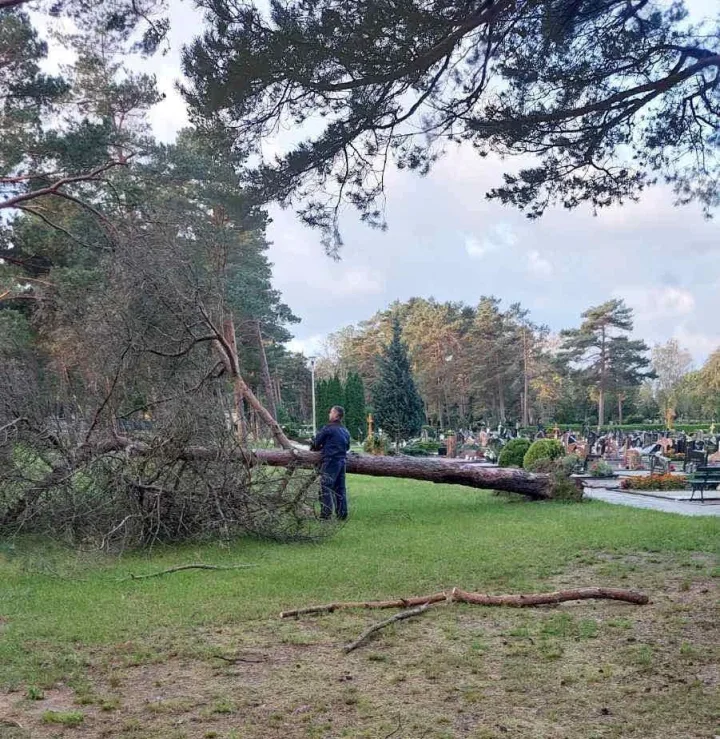 Prie kapinių