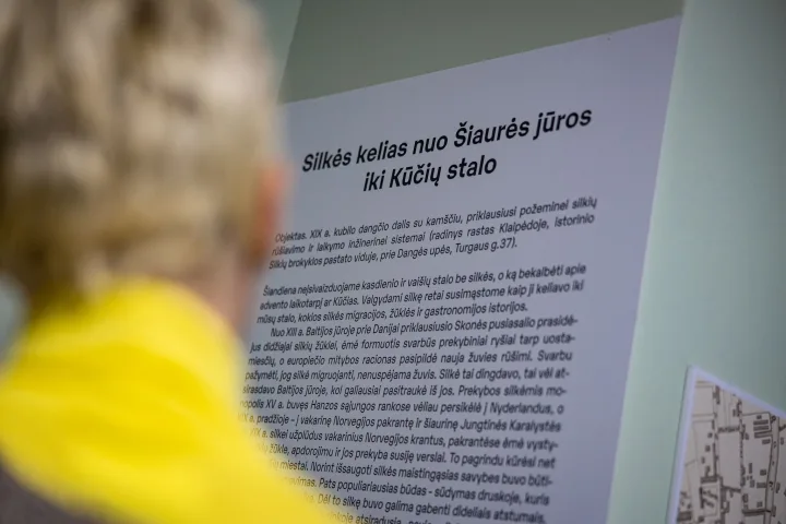 Ekskursija po silkės kelio parodą ir silkės užkandžių degustacija – nuotrauka 4