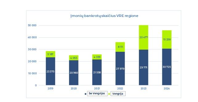 „Coface Baltics“: nemokumo atvejų skaičius stabilus, o verslo milžinai traukiasi iš rinkos – nuotrauka 1