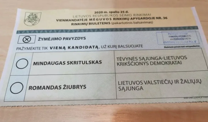 Mindaugas Skritulskas laimėjo Seimo nario mandatą vienmandatėje Mėguvos rinkimų apygardoje – nuotrauka 6