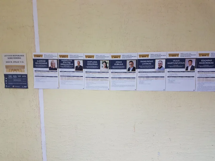 Dėl mandato antrajame rinkimų ture į Seimą Mėguvos rinkimų apygardoje varžysis konservatorius Mindaugas Skritulskas ir "valstietis" Romandas Žiubrys – nuotrauka 12