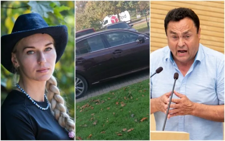 Birutė Navickaitė ir Petras Gražulis delfi.lt foto montažas