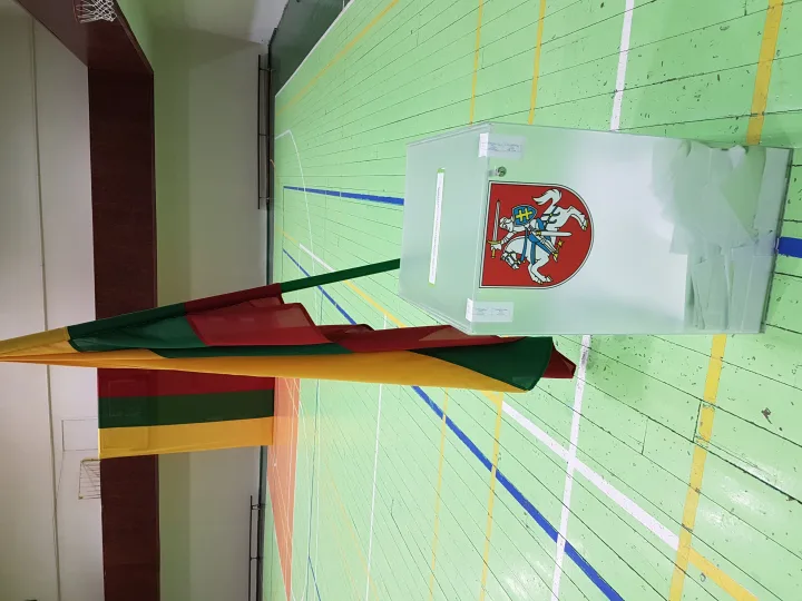 Mandatų atsisakius P. Žeimiui ir A. Kilijonienei, durys į Tarybą prasiveria V. Žulkui ir V. Šimaičiui – nuotrauka 6