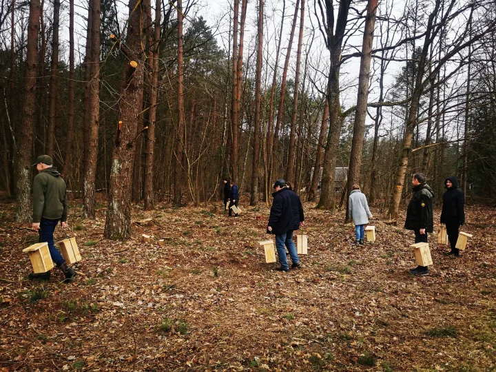 Namai sugrįžtantiems paukščiams: ką reikia žinoti prieš keliant inkilus – nuotrauka 2
