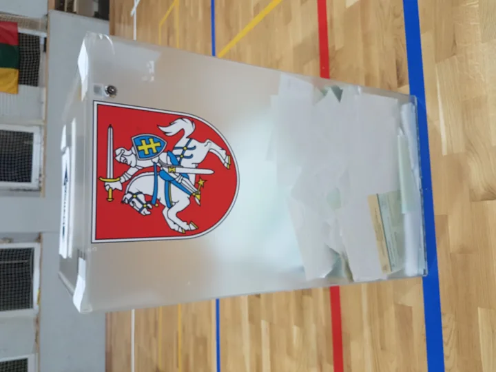 Dėl mandato antrajame rinkimų ture į Seimą Mėguvos rinkimų apygardoje varžysis konservatorius Mindaugas Skritulskas ir "valstietis" Romandas Žiubrys – nuotrauka 14