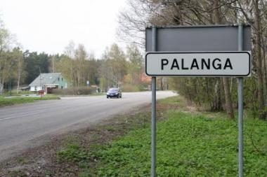 Nemirsetos kelias – tarsi džiunglės