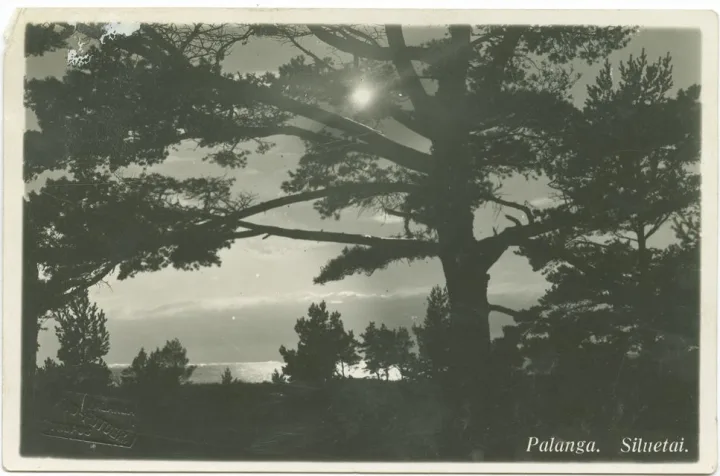 Palanga. Siluetai. Fot. I. Stropus, 1936 m.