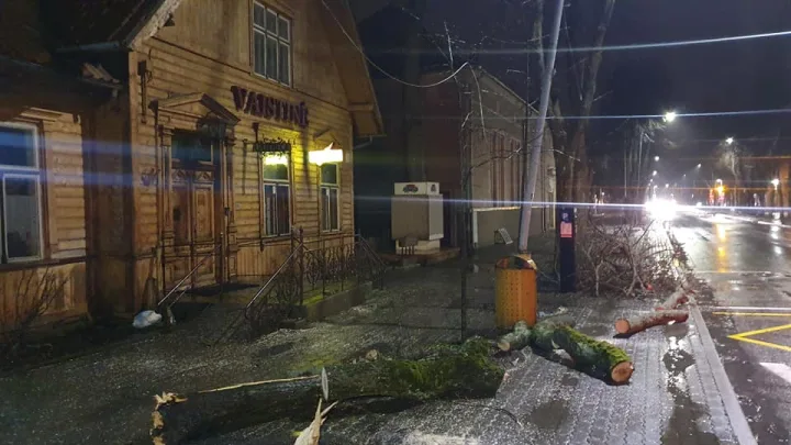 Siautusi audra talžė Palangą, didelių nuotolių išvengta – nuotrauka 8