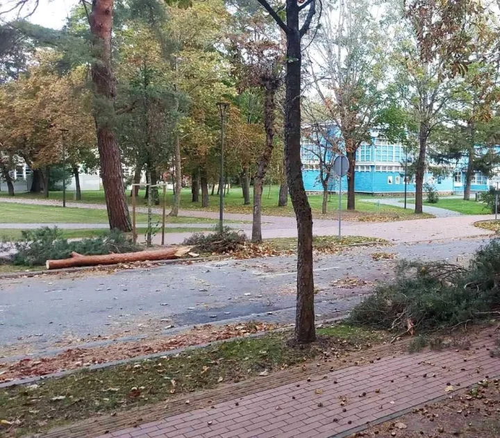 Prasidėjo rudeninės audros: įsidėmėkite telefono numerius, kur kreiptis nuvirtus  medžiui  ar patvinus gatvei – nuotrauka 3